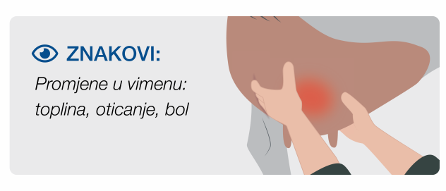 Stage 2 Mastitis in cows Clinical signs of mastitis involving cows in pain