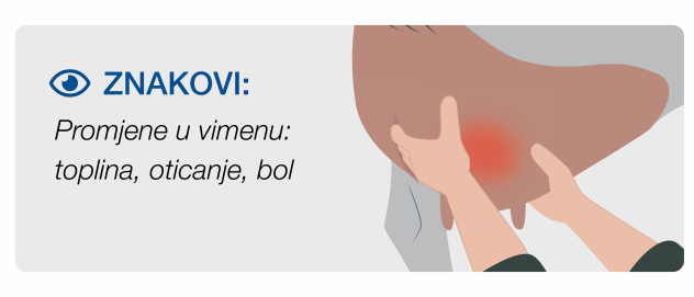 Clinical signs of mastitis involving cows in pain