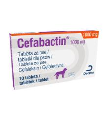 Cefabactin, 1000 mg, tableta za pse