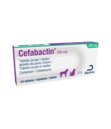Cefabactin, 250 mg, tableta za pse i mačke